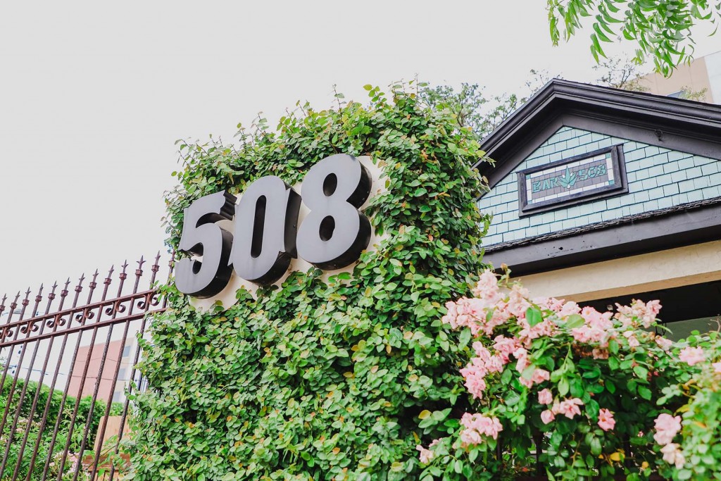 Bar 508 Mezcalerita - Red River Street Mezcal Bar