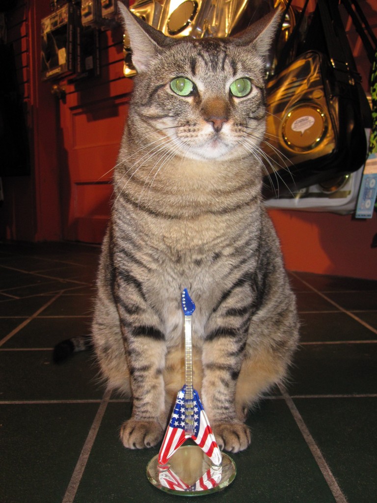 Wild About Music - Downtown Austin Music Gift Shop