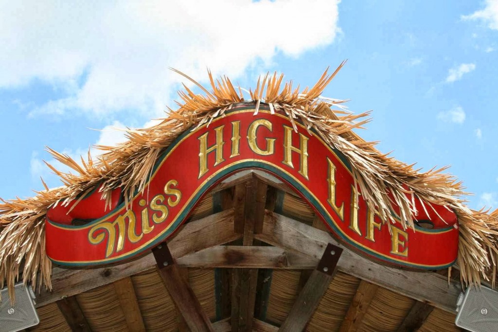 Lake Austin Party Barge 08