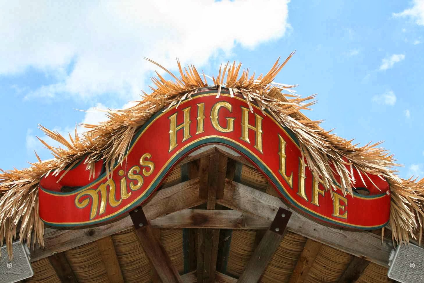 Lake Austin Party Barge 08