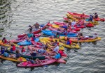 Live Love Paddle - Austin Kayak Tours