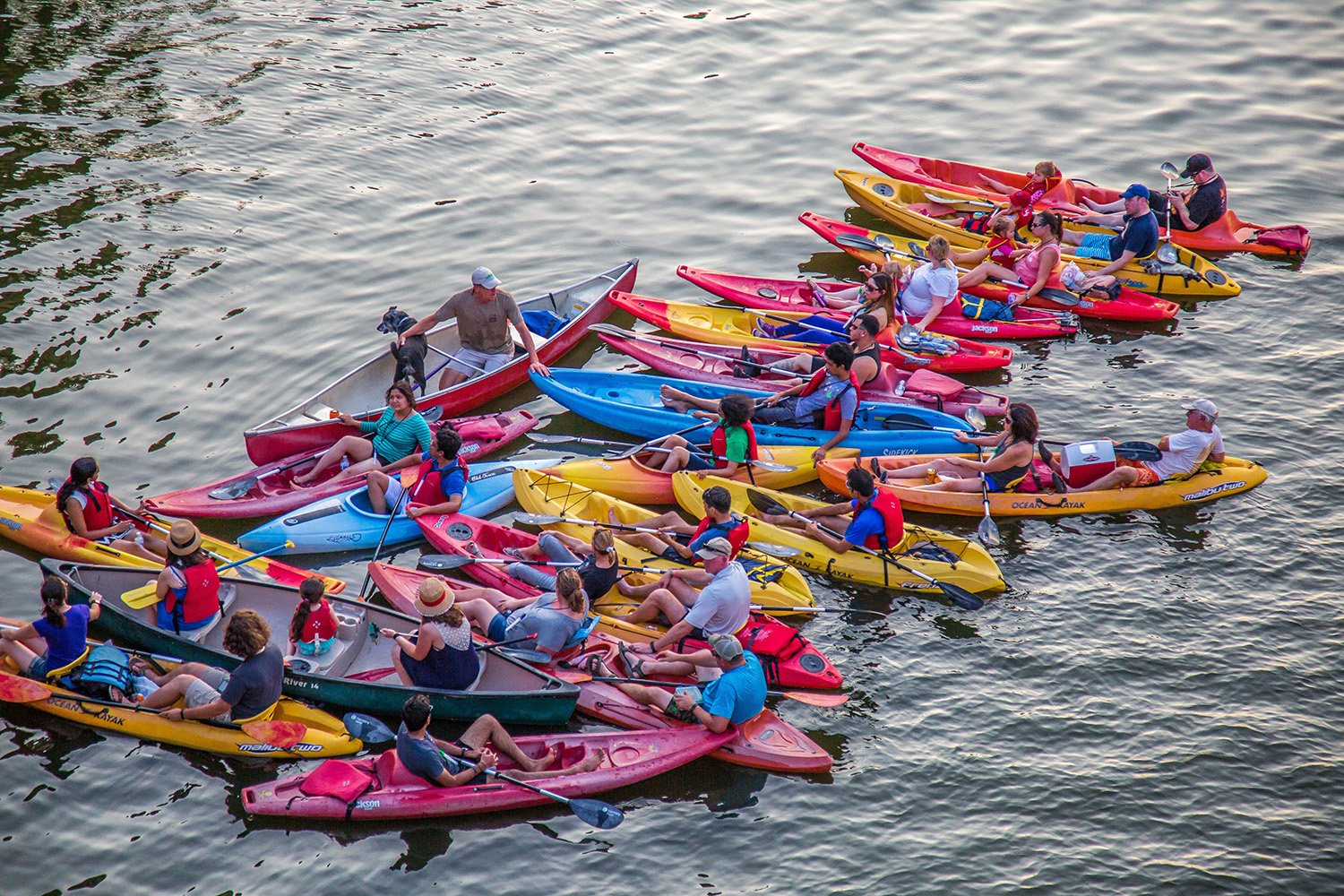 Live Love Paddle - Austin Kayak Tours