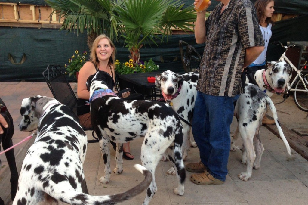 Tiniest Bar in Texas 03