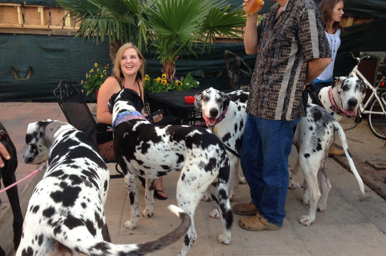 Tiniest Bar in Texas 03