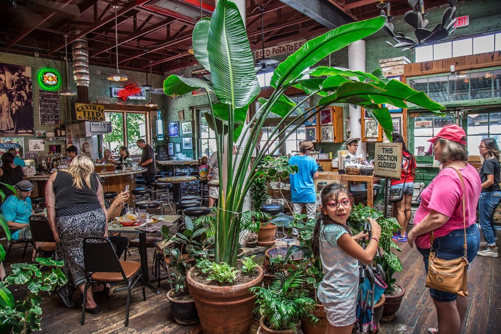 Guero's Taco Bar - Austin, TX 03