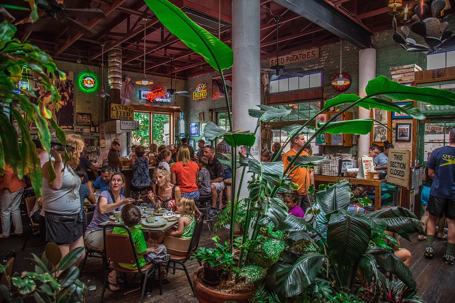 Guero's Taco Bar - Austin, TX 12