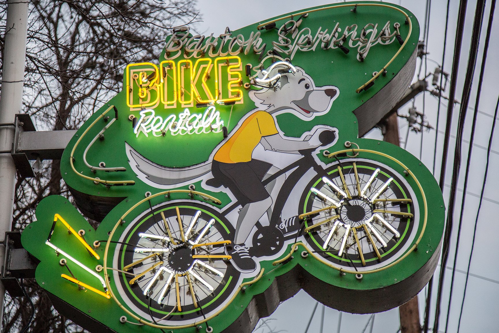 Barton Springs Bike Rental