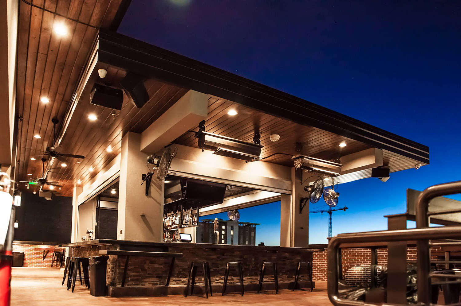 The Dogwood Rock Rose