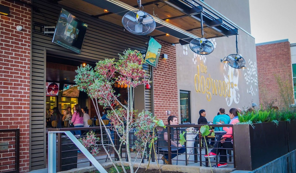 The Dogwood Rock Rose