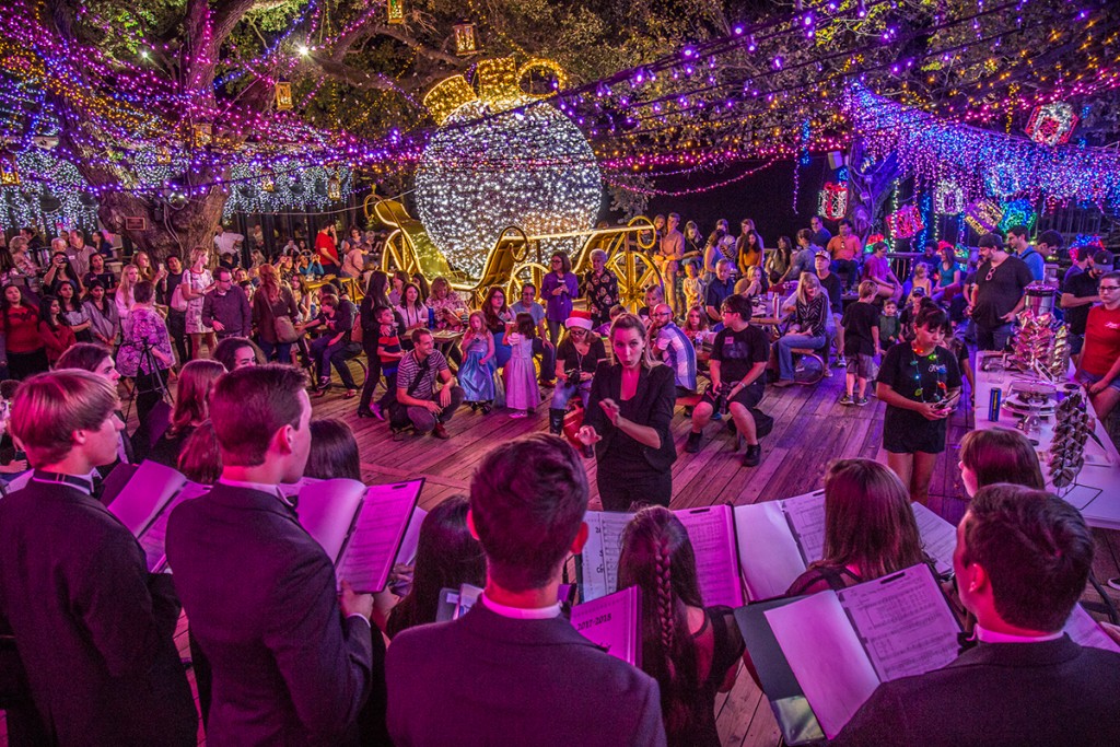 Mozart's Coffee Roasters - Lake Austin