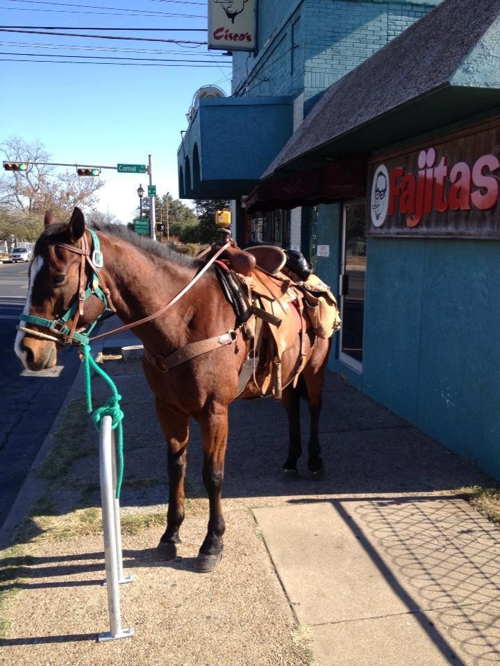 Cisco's - East Austin Tex Mex Restaurant