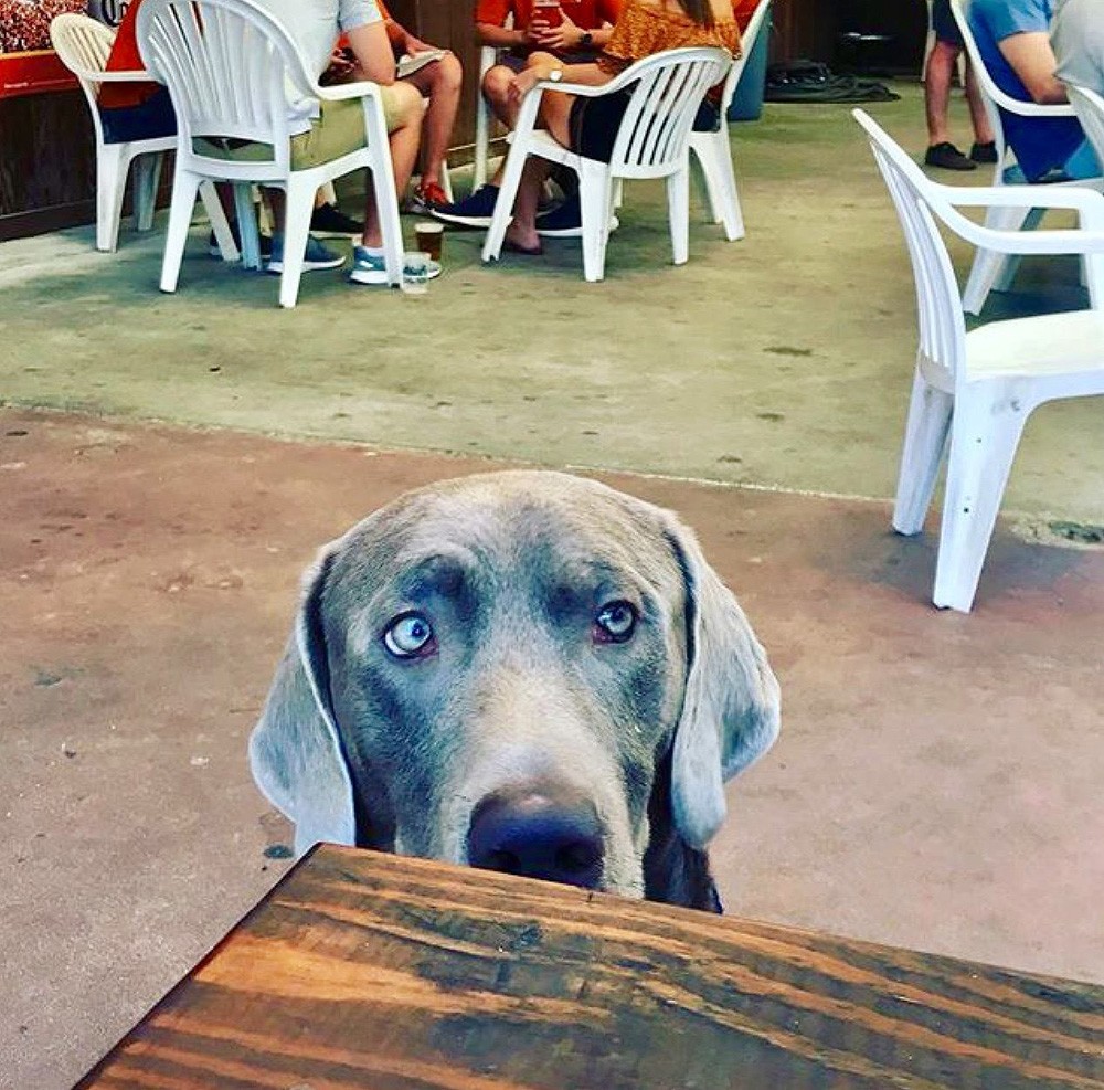 Cain & Abel's - West Campus Bar