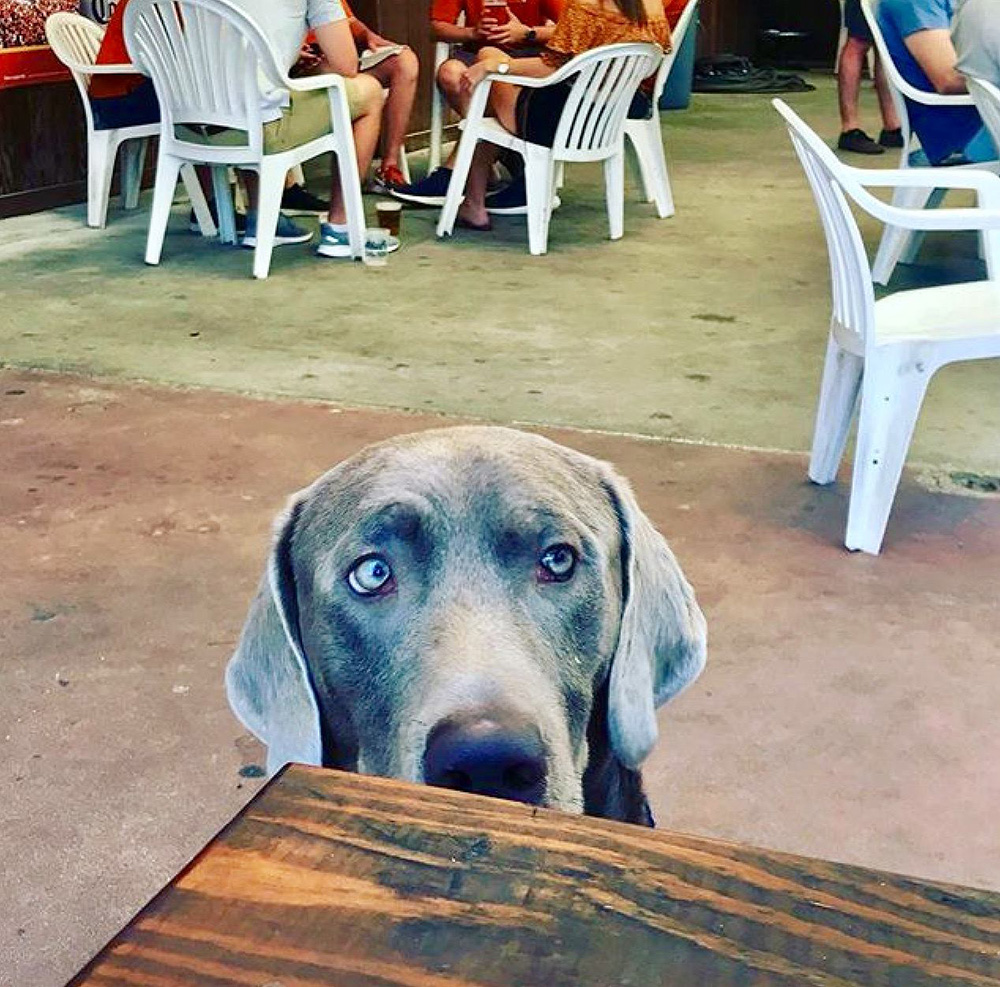 Cain & Abel's - West Campus Bar