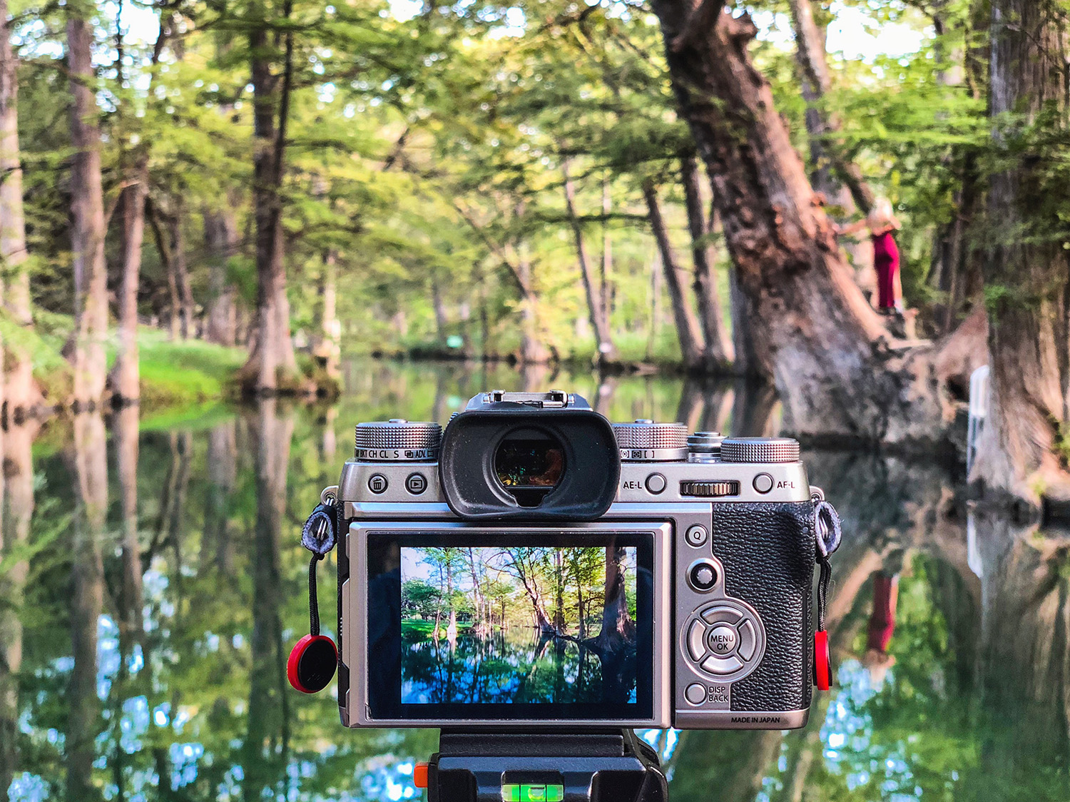 Wimberly's Blue Hole