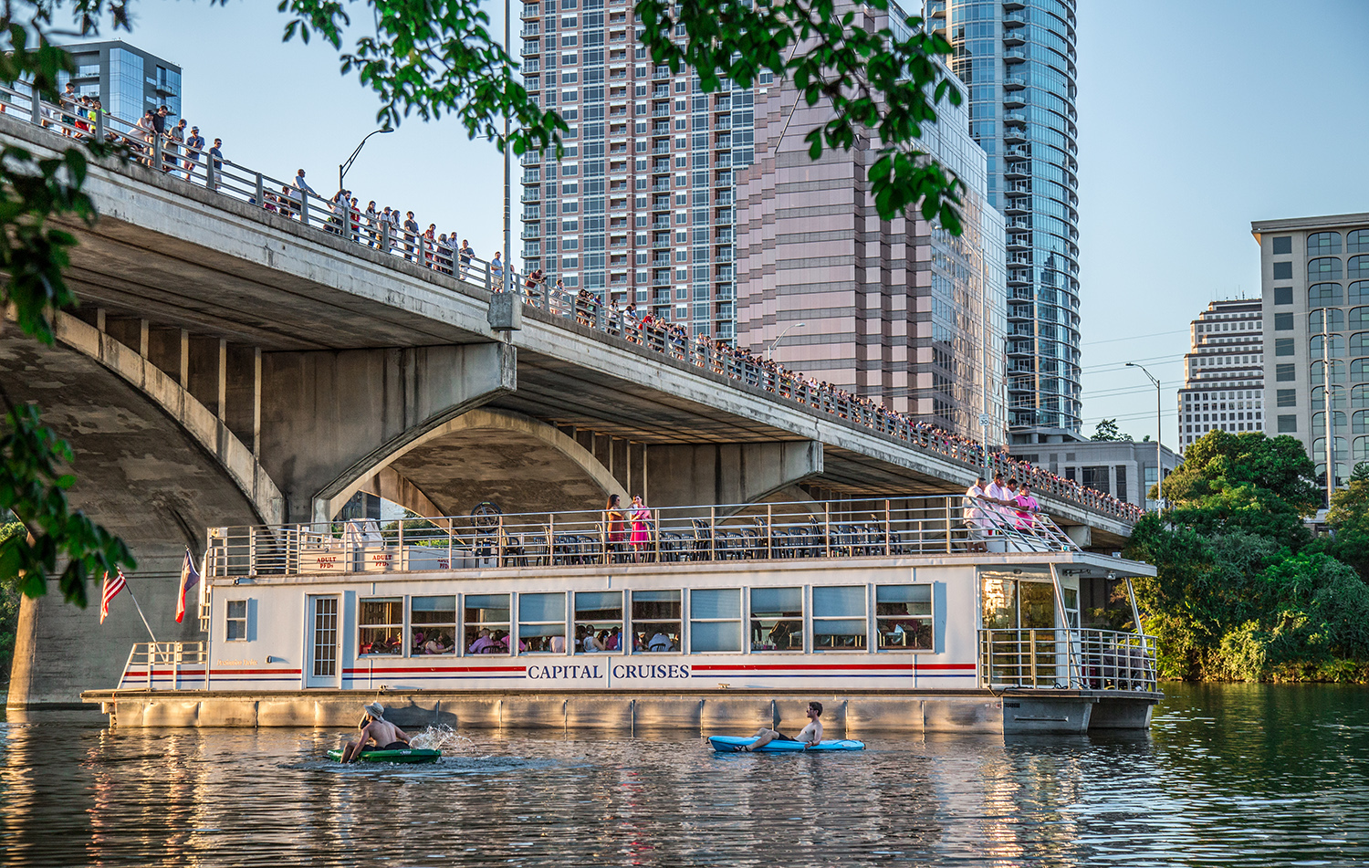 Bar watching with Capital Cruises under the Congress Avenue Bridge. Photo: Will Taylor - lostinaustin.org