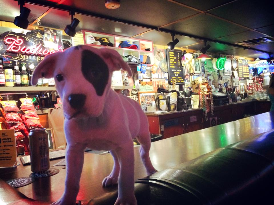 Deep Eddy Cabaret - An Austin Original since 1951