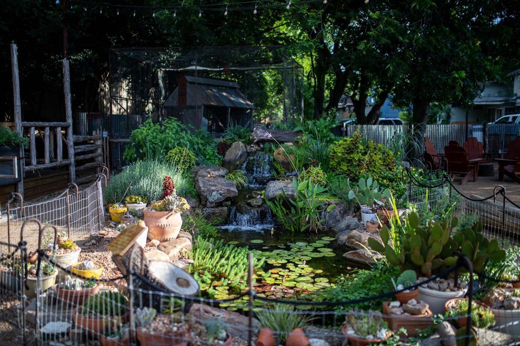 Cosmic Coffee and Beer Garden - Live Music & Food Trucks too !