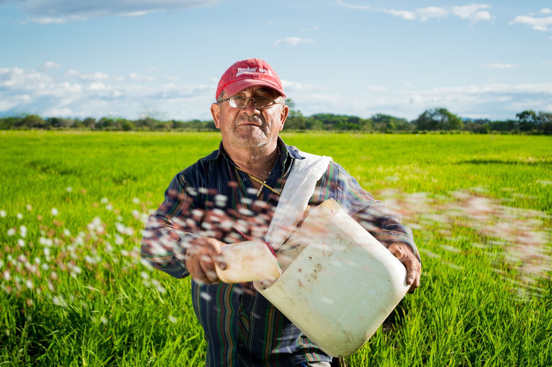 Best Austin Farms