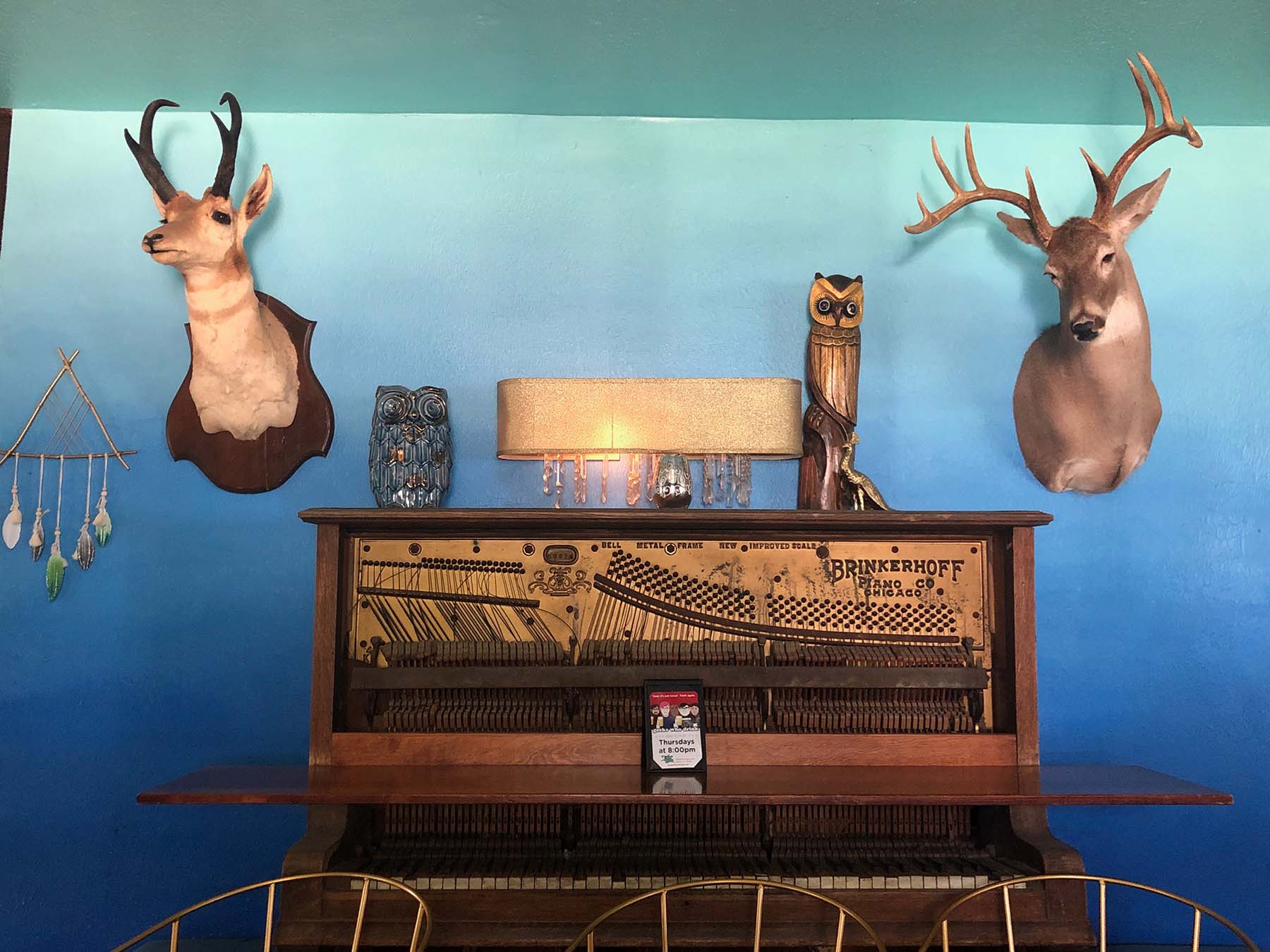 Indian Roller - South Austin Patio Lounge & Roadhouse