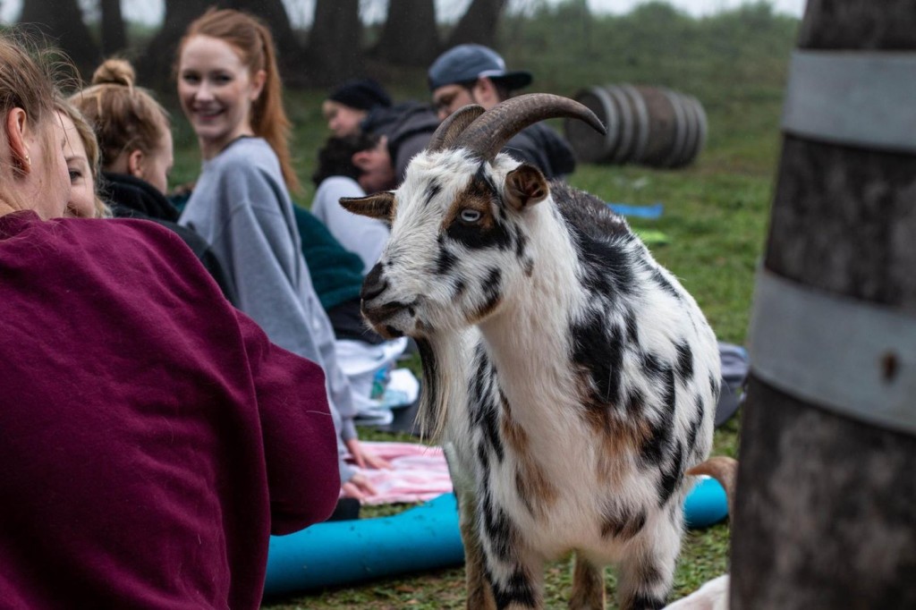 Jester King - Austin Craft Brewery, Kitchen and Farm