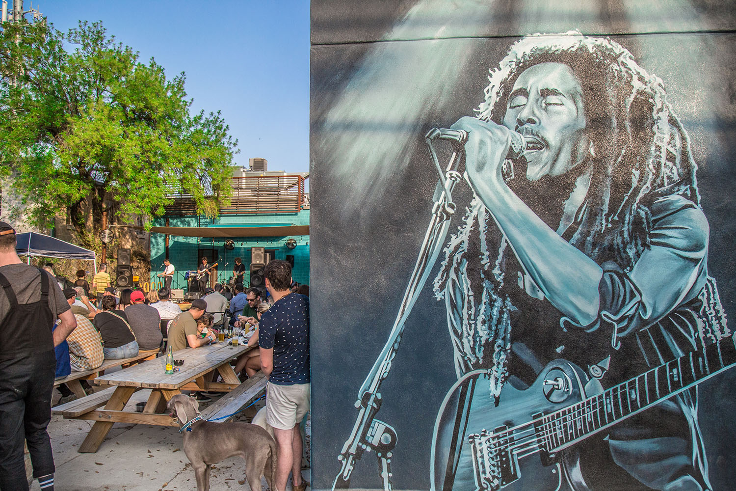 Lazarus Brewing - 6th Street Brew Pub plus espresso & house tacos.