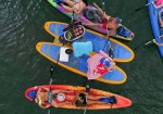 Rowing Dock - Austin Kayaking & Canoe Rental Lady Bird Lake