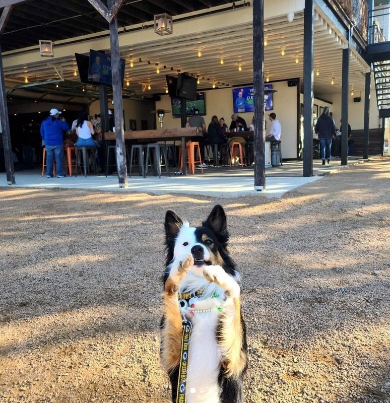 Armadillo Den - South Austin Bar & Entertainment Complex