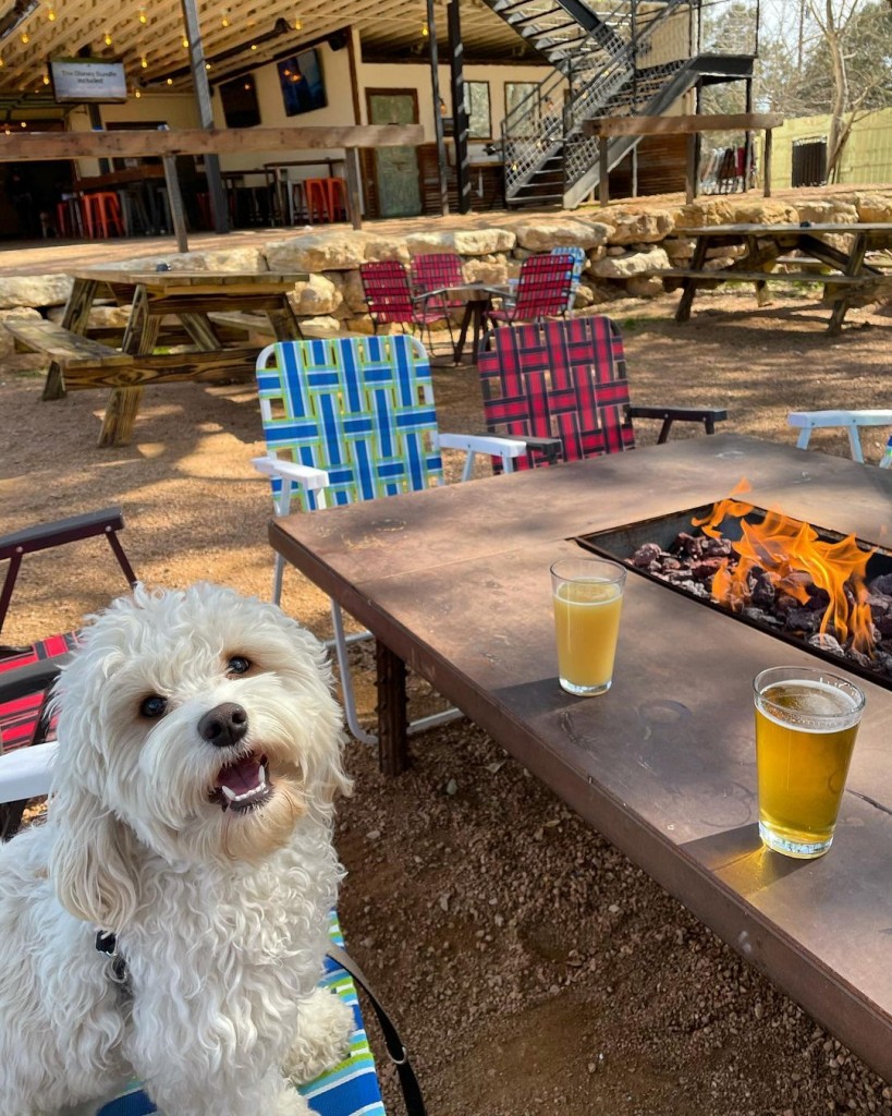 Armadillo Den - South Austin Bar & Entertainment Complex