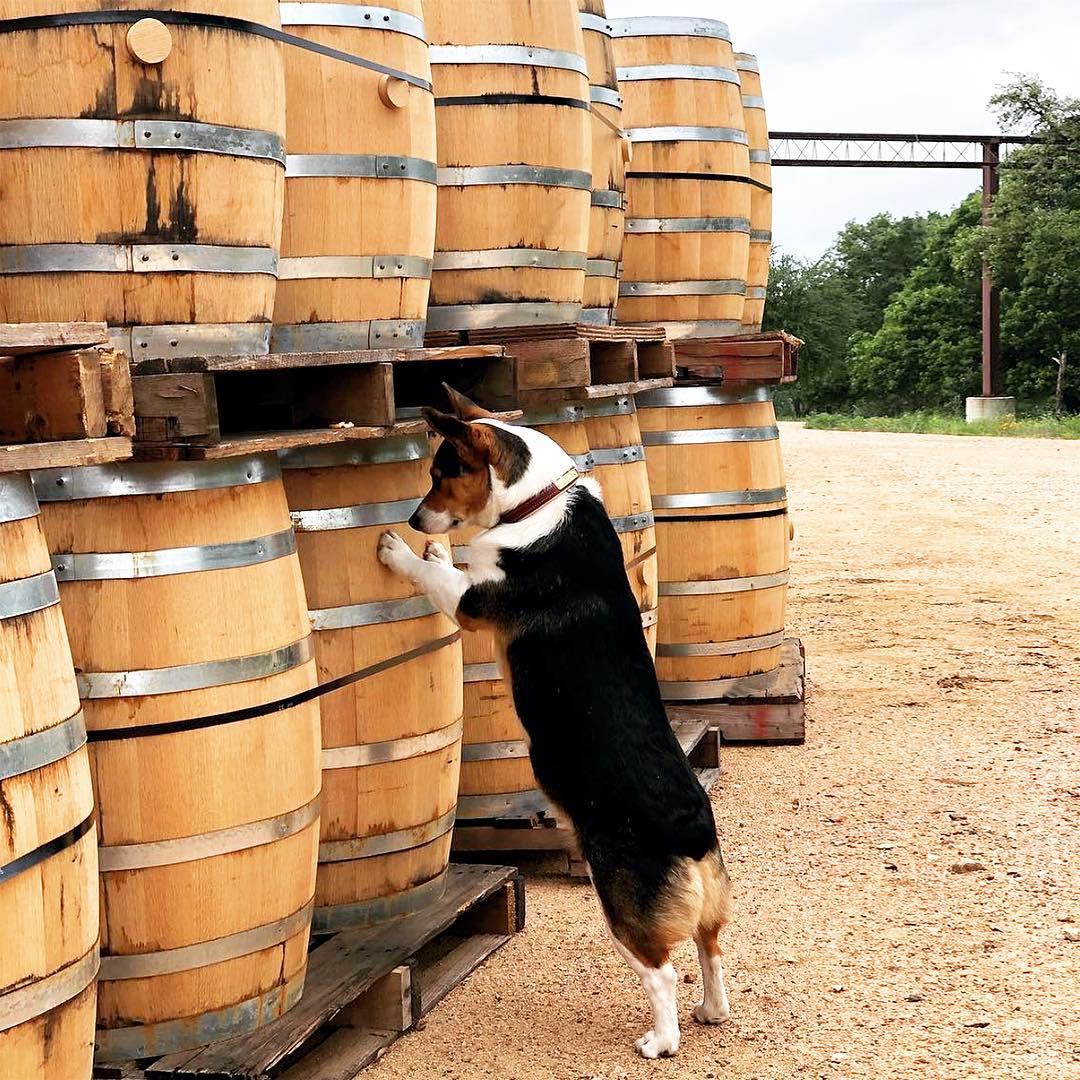 Garrison Brothers Distillery - Hye TX