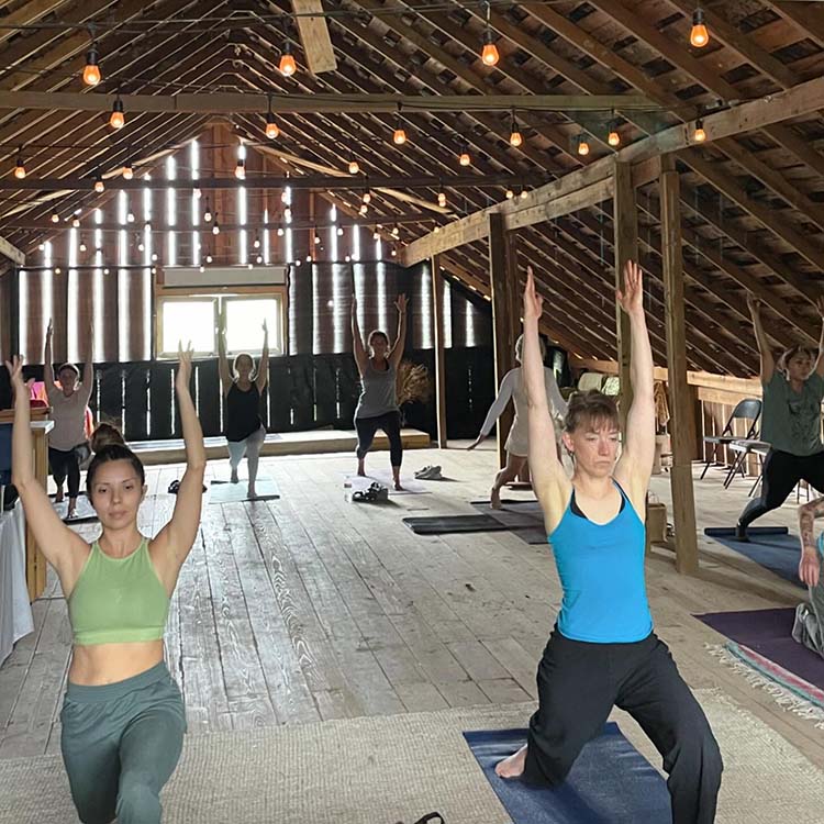 Village Farm Tiny Home Community - Austin TX.