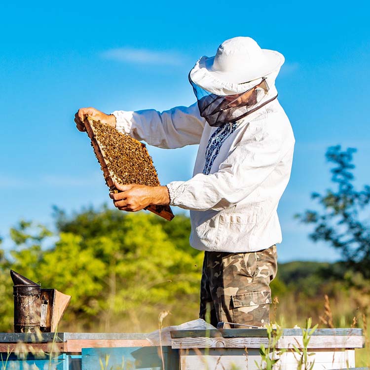 Village Farm Tiny Home Community - Austin TX.